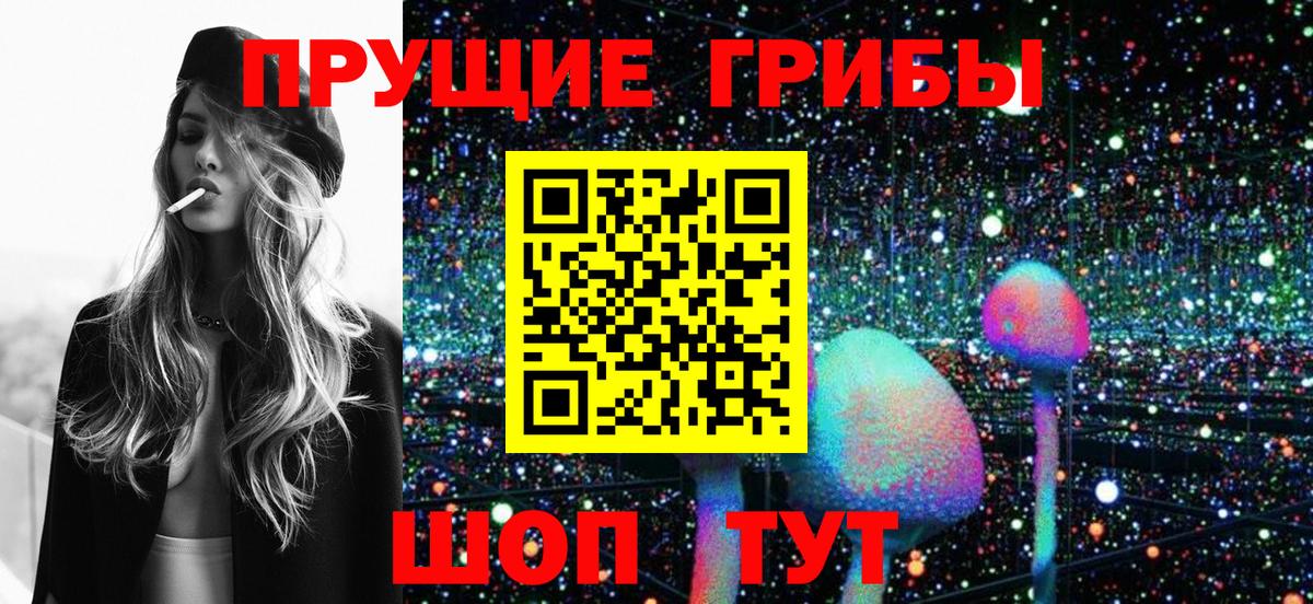 Псилоцибиновые грибы Psilocybe  Вход с VPN  Галлюциногенные грибы прущие грибы  Сочи 